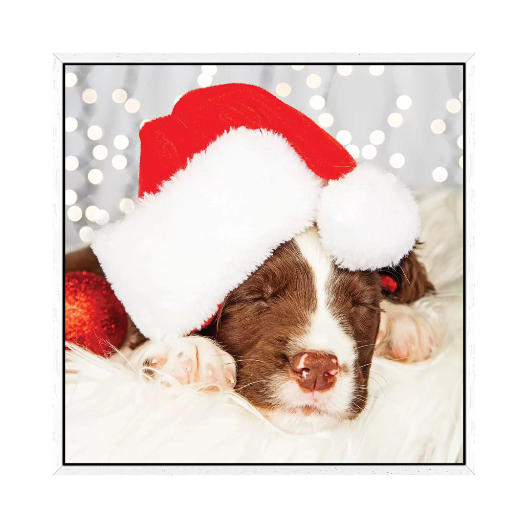 Puppy Wearing Santa Hat While Napping On II von Susan Richey - Gallery-Wrapped Canvas Giclée on Canvas