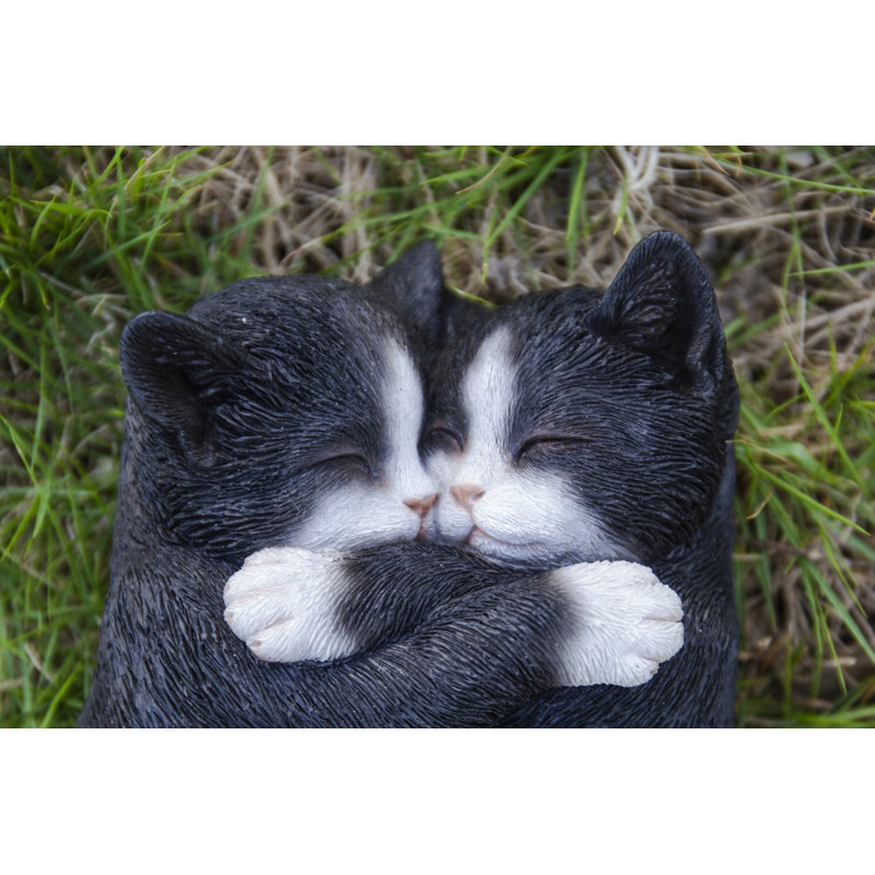 Sleeping Couple Cats, Noir