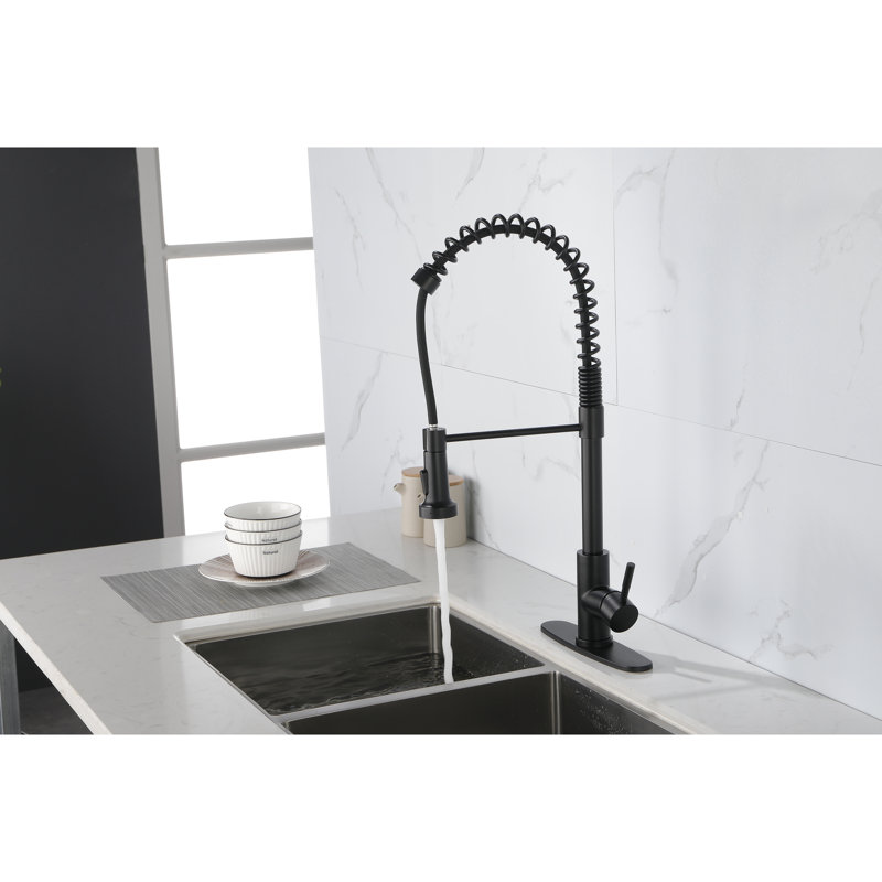 Robinet escamotable noir mat pour bar à lessive, évier industriel en acier inoxydable au design fonctionnel noir