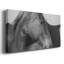 Cheval sauvage de Flint Hills - Toile tendue avec châssis - Prêt à accrocher-88707082