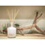 Star Magnolia Reed Diffuser