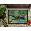 Litcy Non-Slip Doormat-1378543066