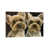 Wrapped Canvas is unavailable