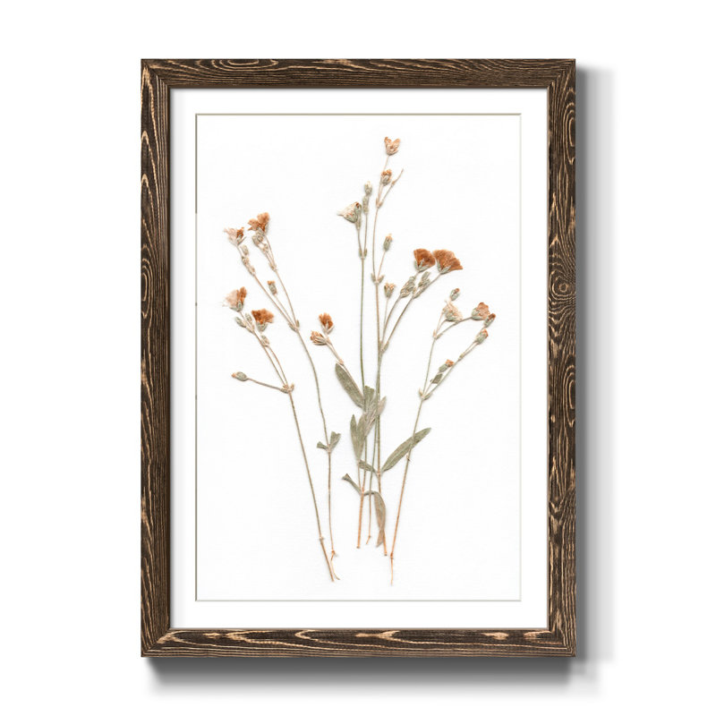 " Pressed Botanical I ", 37.5" H x 27.5" W x 1.5" D, Walnut