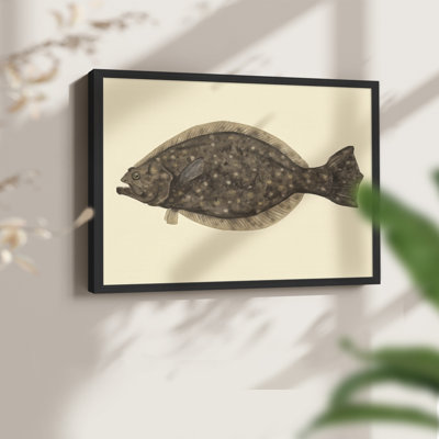 «Saltwater Species IV», reproduction encadrée