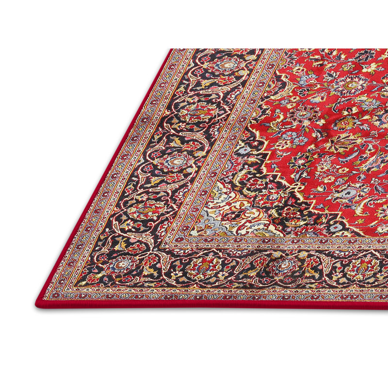Rouge/bleu marine/Tapis décoratif brun clair de style oriental eshaal, Rectangle 2 pi x 4 pi