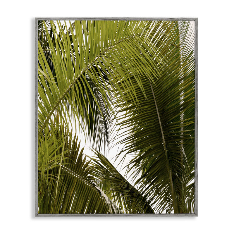 Giclée encadrée, détails de palmier en couches, design par Natalie Carpentieri, Estampe numérique Farmhouse
