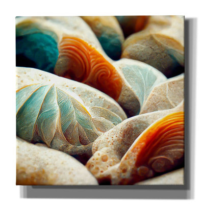 " Space Sea Shells " by Epic Portfolio