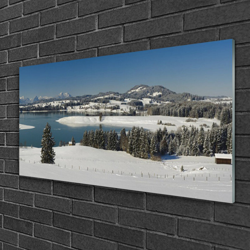 Snow Lake Forest Landscape - Unframed Photograph on Glass