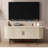 Modern TV Console Table with Ample Storage and Sliding Door