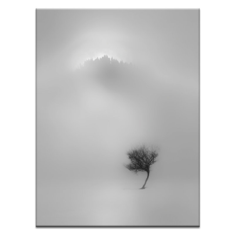 Print on Canvas, 102cm H x 76cm W, Wrapped Canvas