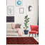 One-of-a-Kind 3'3" X 5'11" 1980s Wool Area Rug in Red