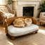 Housse lavable amovible de style moderne pour chien-1844076172