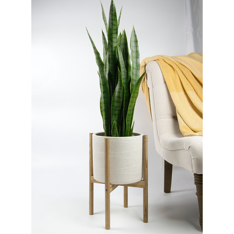 Jayzeon Handmade Pot Planter, Ivory/Special Walnut, 8" H x 8.9" W x 8.9" D