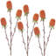 Chardon d'automne 29 po X3-128538642