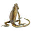 Abbiegale Iguana Decorative Object