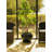 Pot Planter-67088289