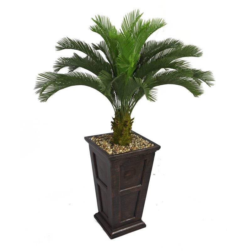 Grand palmier Panama Cycas en pot, Noir / Bronze