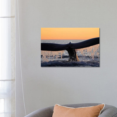 Southern Right Whale Diving, Peninsula Valdez, Argentina by Hiroya Minakuchi - Wrapped Canvas Print