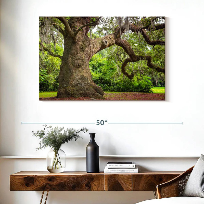 Harnek Live Oak Tree, 26" H x 39" W