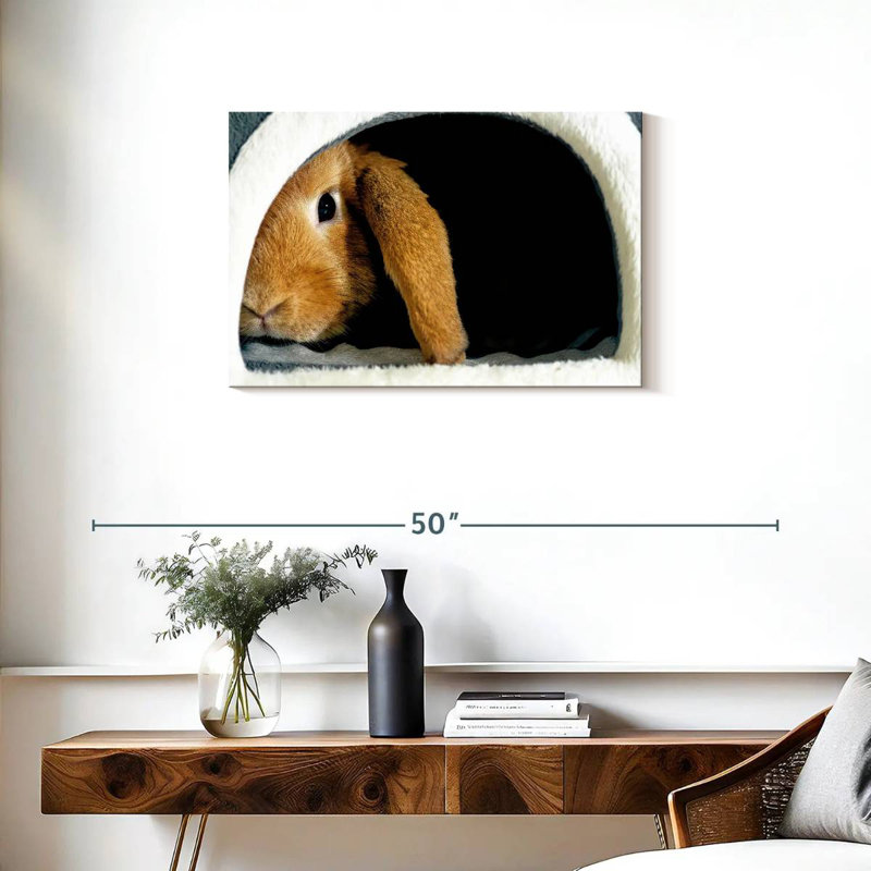 Brampt Rabbit Home, H 20 po x l 30 po