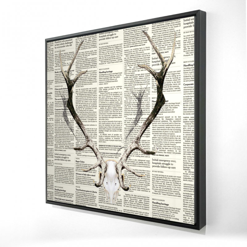 «Deer Horns On Journal»