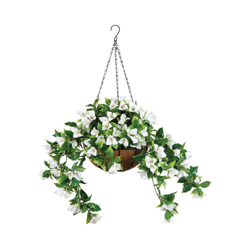 White Bougainvillea Hanging Planter