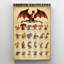 «Dragon Connaissances» - 1 pièce, reproduction d'art graphique sur toile tendue-635045063