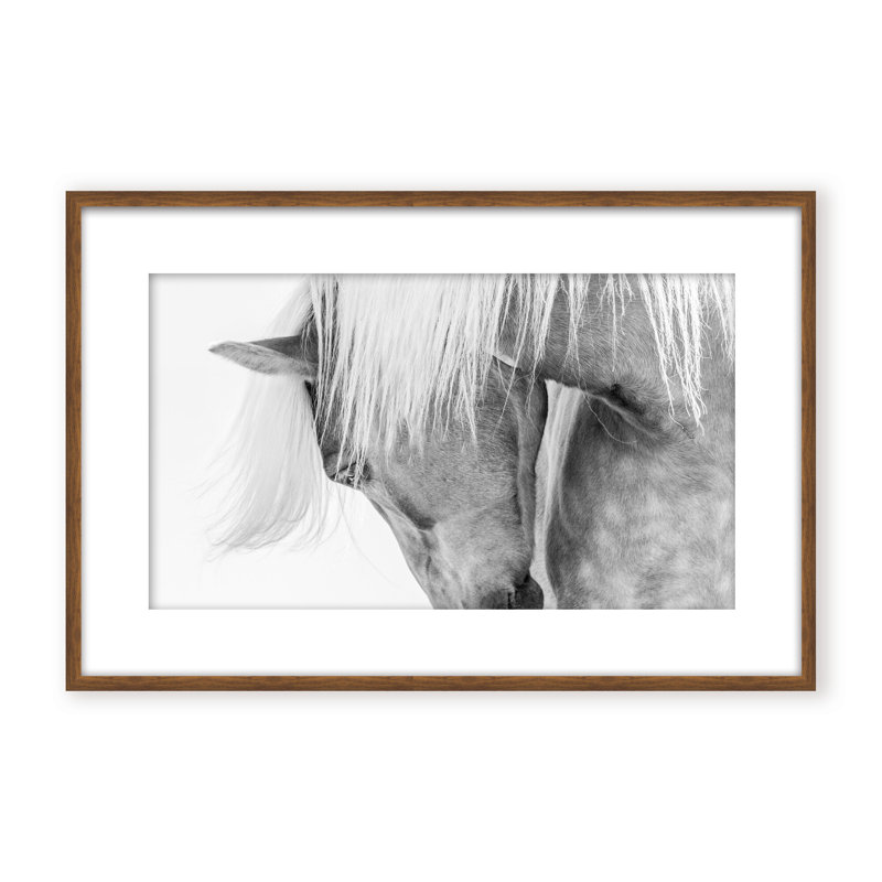Nature Inspired Halflinger Portrait by  - Picture Frame Photograph on Paper, 24" H x 36" W x 1.125" D, Black