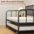 Trundle Bed