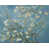Toile tendue est en rupture de stock