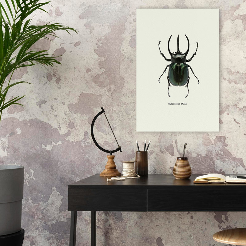 Coléoptère noir - art animaux et insectes, H 24 po x l 16 po