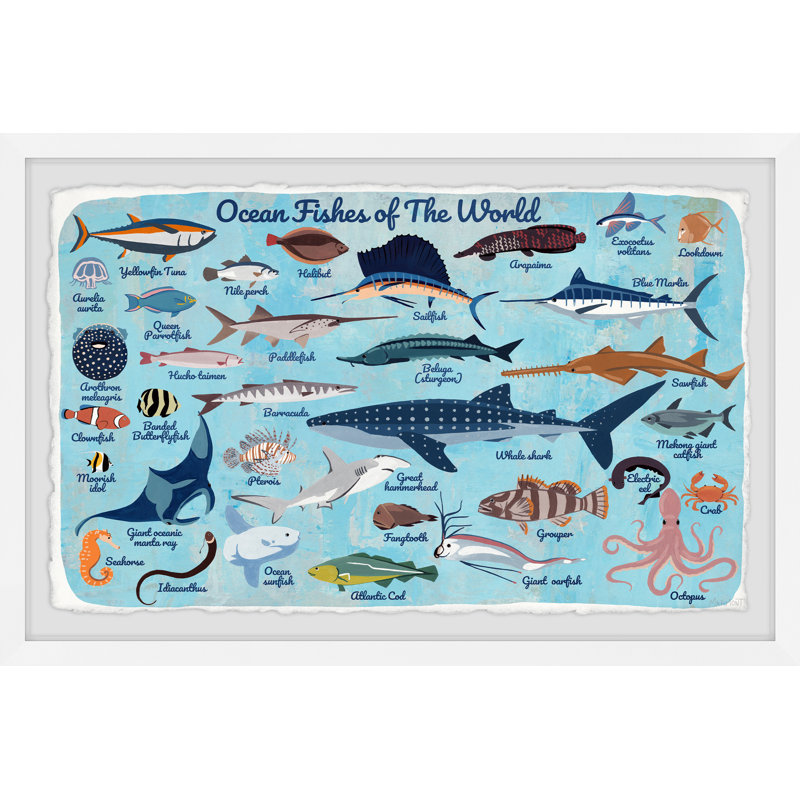 Paloma Deep Sea Fishes Framed Print, 12" H x 18" W x 1.5" D