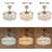 Dauna 42'' Ceiling Fan with LED Lights-131289680