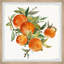 The Oranges - Single Picture Frame Painting-1106872229