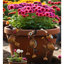 Ensemble de 3 pots pour chien