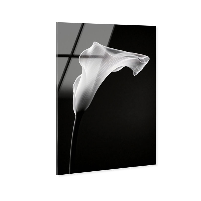 Calla Lily II by Oliver Gal, High-Gloss Acrylic Print, 24"H x 36"W