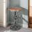Jedrick Swivel Adjustable Height Counter Stool with Metal Frame