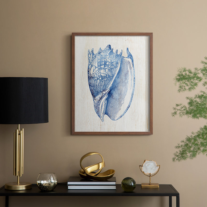 Shell II Framed Print - Solid Wood, Walnut