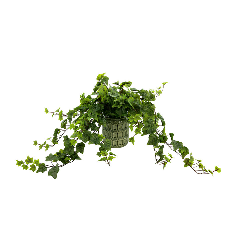 Mauldin Faux Ivy Plant in Ceramic Vase