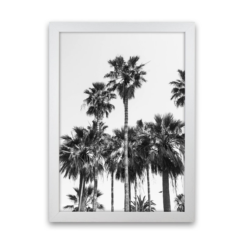 Sabal Palmetto II Palm Trees by Victoria Frost - Print, White Framed, 63cm H x 46cm W x 3cm D