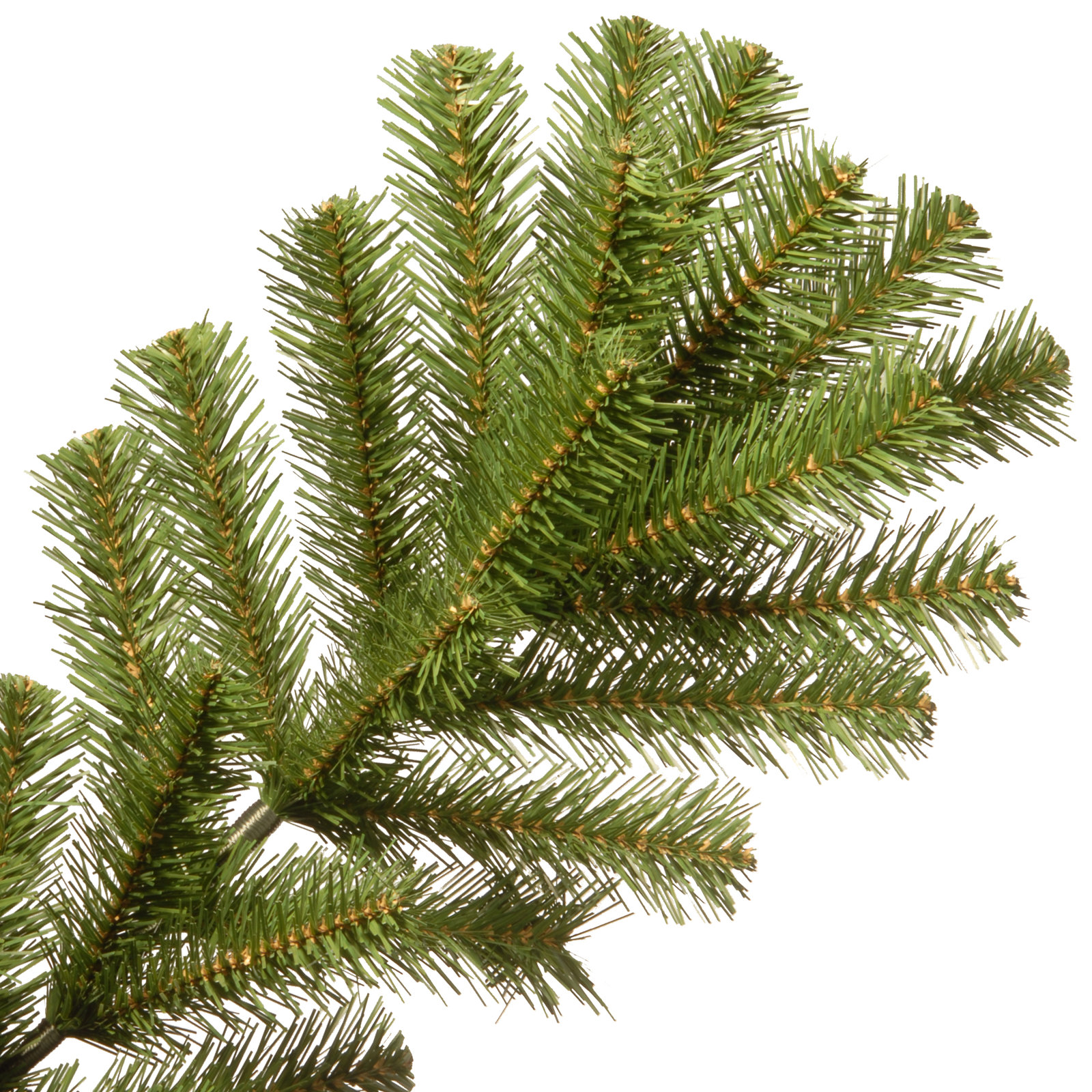 North Valley Spruce Tree, 7.5 FT