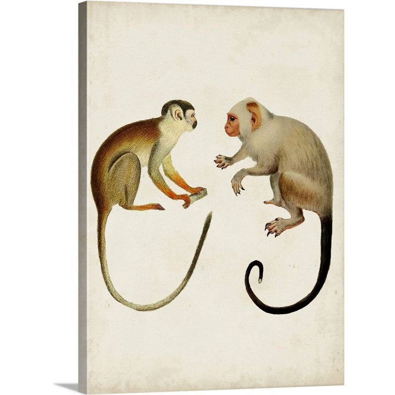 Art sur toile singes pour enfants, H 24 po x l 18 po x P 1,2 po, Toile tendue avec châssis