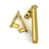 Polished Brass