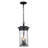 Carmel 3 - Light Outdoor Pendant