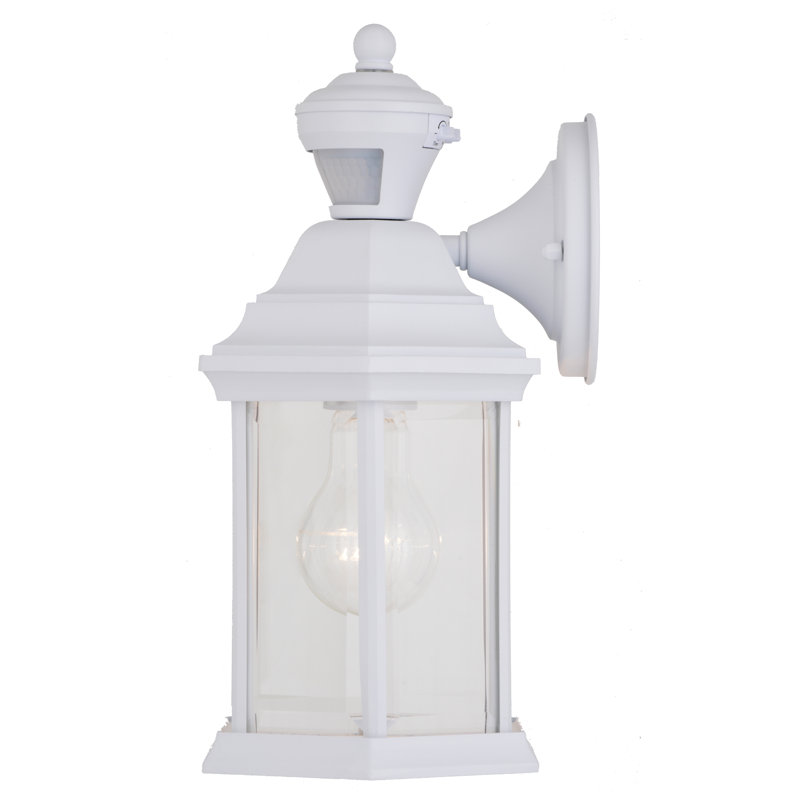 Delaenie Aluminum Wall Light, White 