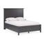 Lit Renee-92387783-92387784