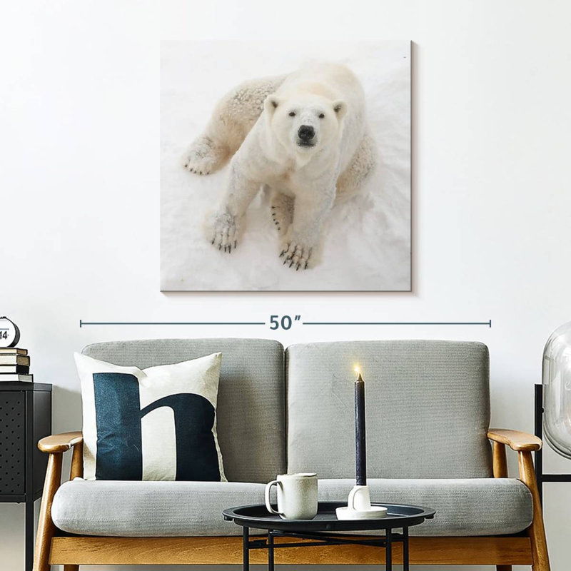Ours polaire dans la neige