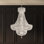 Petit Crystal Deluxe 23 Light 24in x 34in Chandelier in Silver with Clear Optic Crystals
