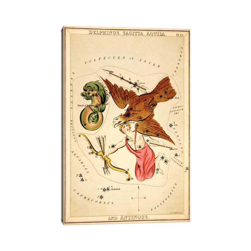 Delphinus, Sagitta, Aquila, And Antinous by Sidney Hall - Wrapped Canvas Gallery-Wrapped Canvas Giclée